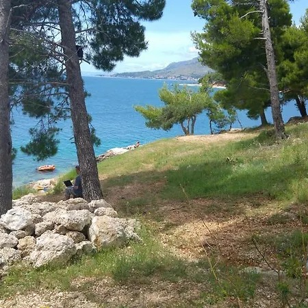 Oasis Of Peace Omis