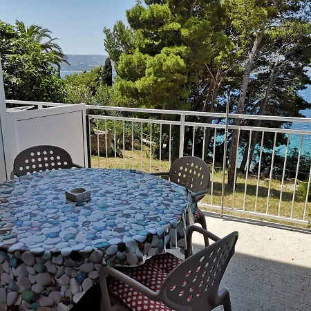 Oasis Of Peace Omis